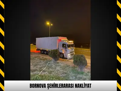 Bornova Eşya Depolama
